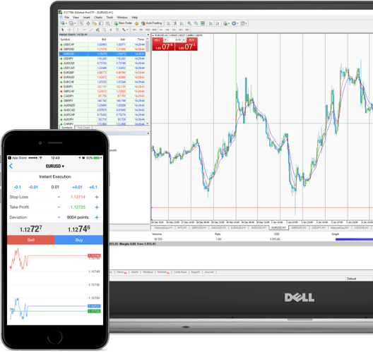 MetaTrader 4 platforms